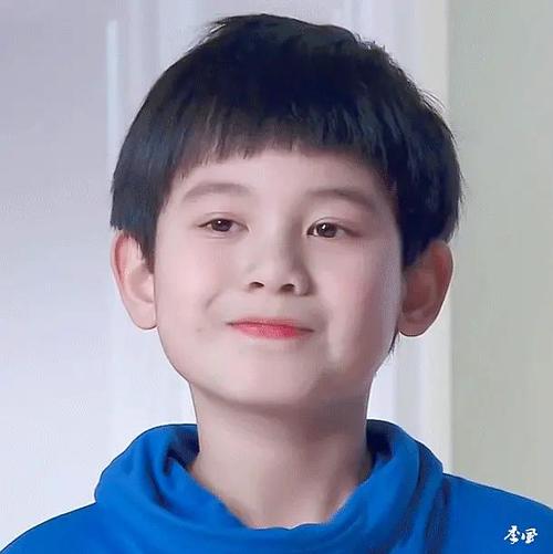 胡先煦 xianxu hu的图片