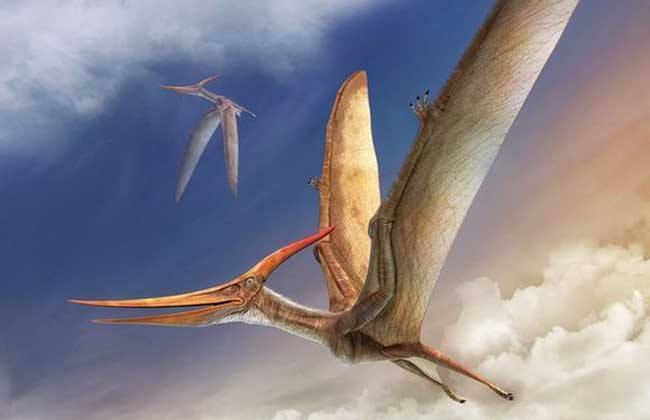 远古图鉴之风神翼龙