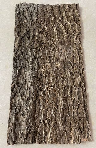 软木真树皮爬宠用橡木树皮鱼缸造景香槟树皮外墙树皮背景板