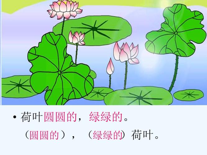 课标版一年级下册小学语文一年级下册第四单元第十四课《荷叶圆圆》