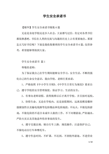 学生安全承诺书.docx 12页