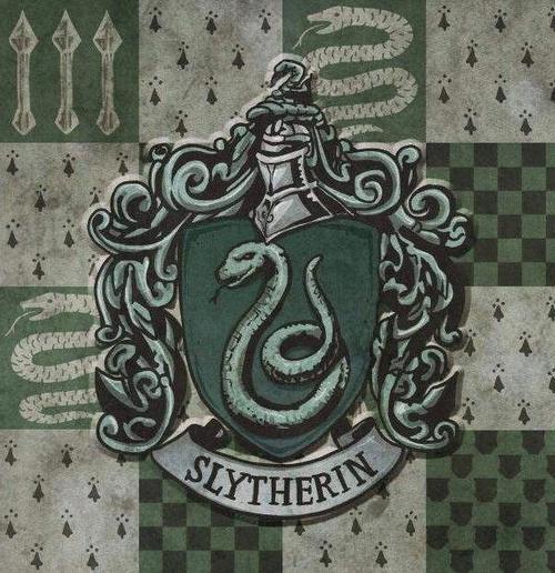 我们是斯莱特林