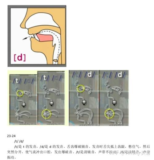 ci发什么音标48个国际音标发音舌位图