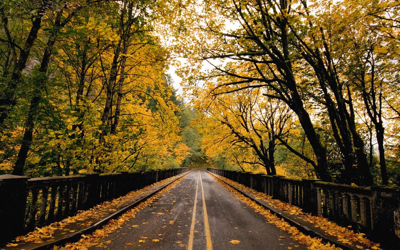 十月金秋秋天风景电脑桌面壁纸