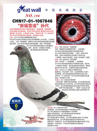 中国-长城鸽业2018哈尔滨拍卖会7