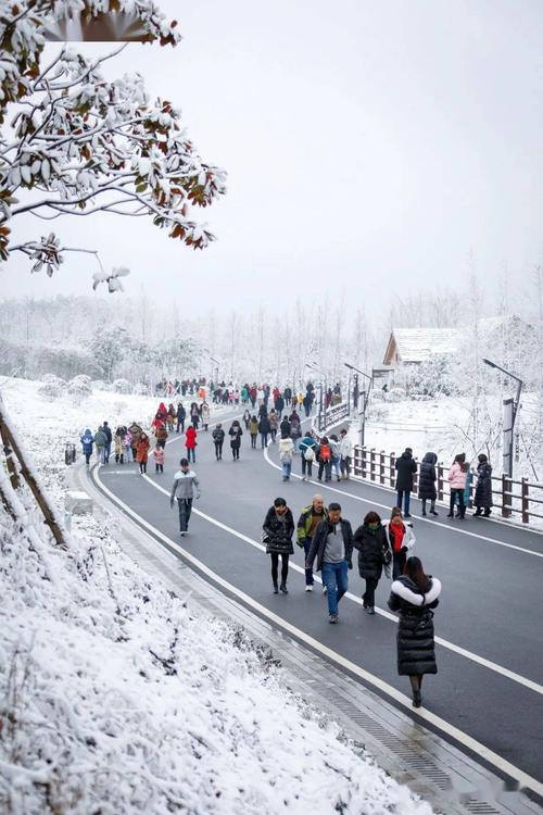 青年看热点 | 毕节雪景有多美!看看他拍的这组图