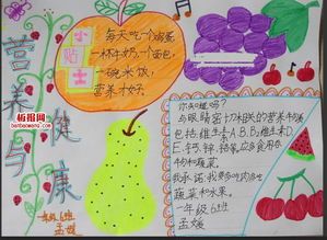 营养和健康的手抄报内容