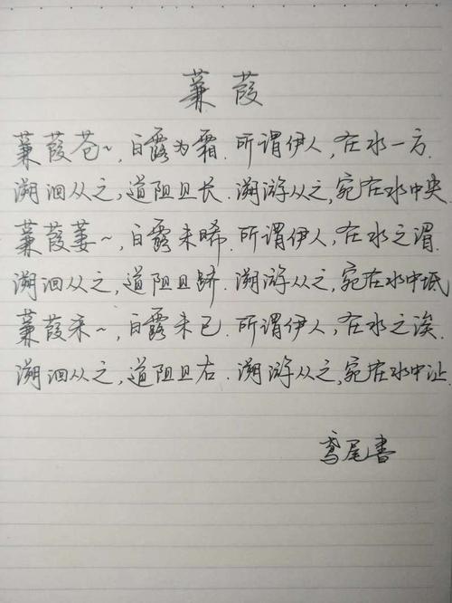 诗经《蒹葭》钢笔字笔友习作欣赏