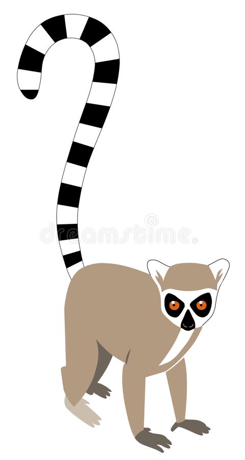 环尾狐猴简笔画