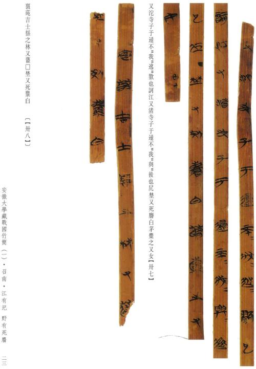 安大简诗经64国风64召南江有汜