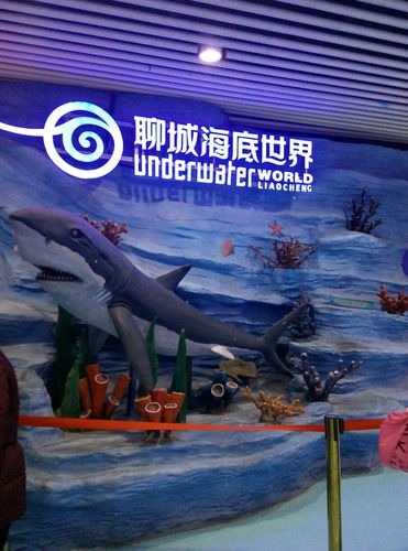 聊城海底世界