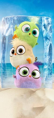 2019《愤怒的小鸟2》全新海报