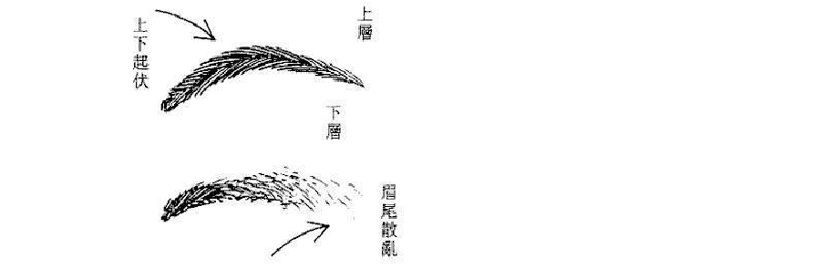 从五官面相看男人命运