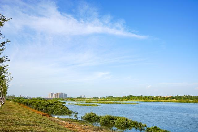 鲤鱼地水库,三江明渠三大部分,而且都是相通的,从银滩东区到北海老