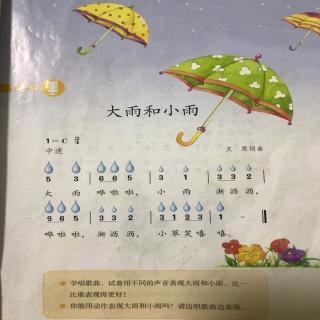 大雨和小雨
