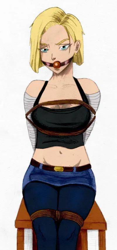 龙珠图集:18号专辑,龙珠第一女神