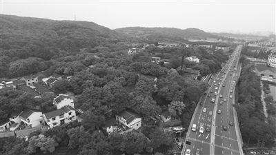 5月底馒头山星级农贸市场开张 - (杭州休闲时尚) - 网