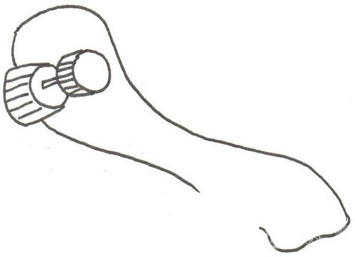 滑板怎么画儿童简笔画滑板画法