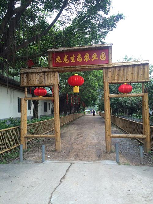 深圳观澜九龙山生态园需要门票吗?有车接送吗?农家乐怎样消费的呢?