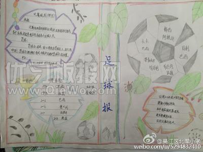 体育足球英语手抄报 体育手抄报