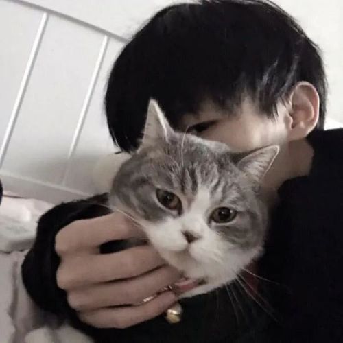 有没有好看的抱猫的男生头像?