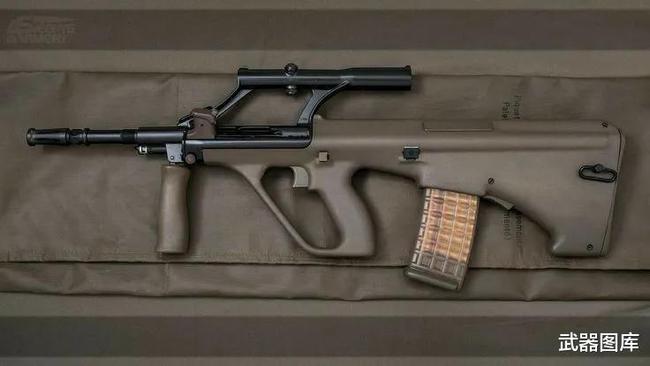 名枪图录steyraug