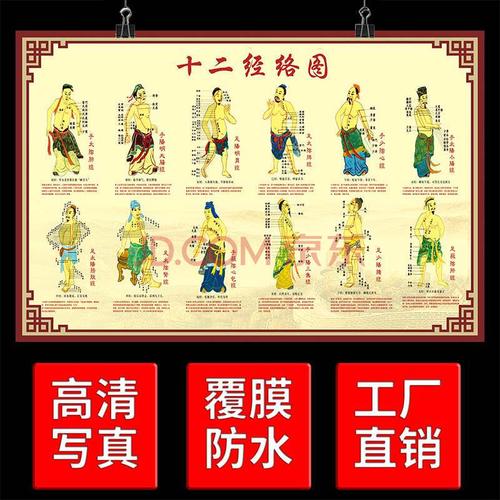 中医养生馆挂图人体十二经穴位大挂图十二经络养生馆装饰画海报 yt-35