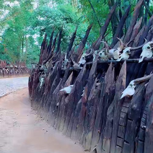 中国最后一个原始部落翁丁村