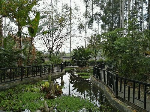 三圣花乡农家游----王家花园
