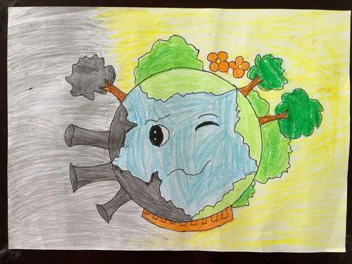 第二届"红林杯"环保主题绘画手抄报比赛美蓝小学获奖名单来啦