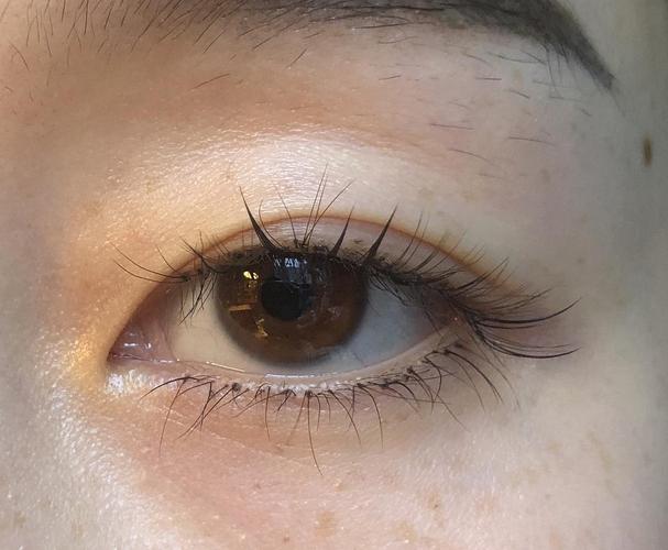 普通人的眼睛自己接睫毛的一些结论和疑问