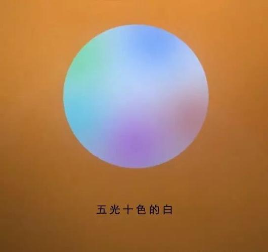 谁说没有五彩斑斓的黑和五光十色的白