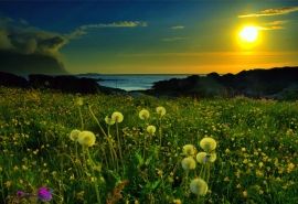 清新大自然唯美好看壁纸图片大全风景高清图集电脑桌面壁纸下载(二)