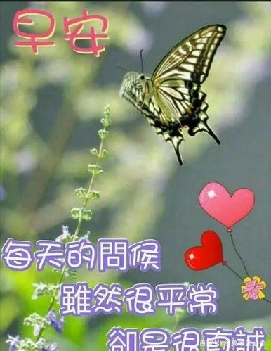 2019年冬天来了最暖心的问候祝福语冬季最美的祝福