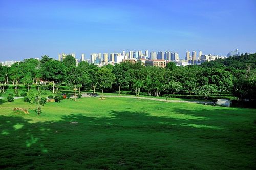 首页>泉州市>休闲娱乐>景点公园>景点>八仙山公园 ]