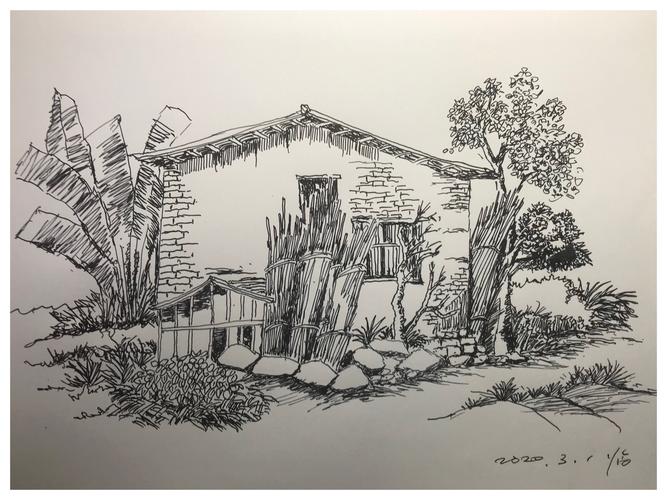 2020年3月钢笔画临摹