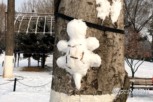 大家在树上堆出可爱的乌龟雪人 记者 孙博洋摄
