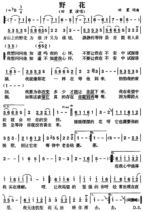 野花 歌谱简谱网