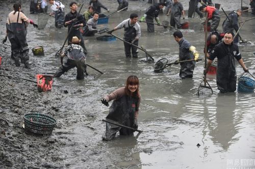 杭州西溪湿地干塘节 众人"浑水摸鱼"[组图](9)