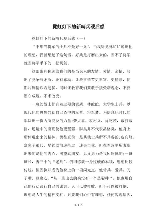 霓虹灯下的新哨兵观后感