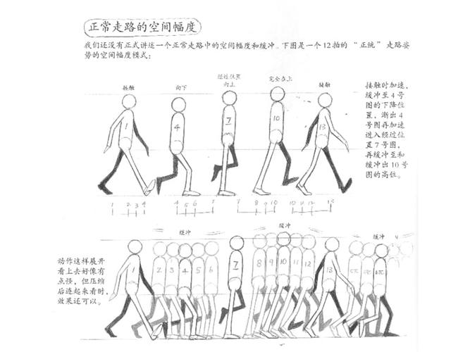 人的运动规律 动画运动规律 走路规律 走路动画 原画.