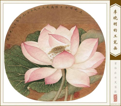 《重临出水芙蓉图》 单击查看高清晰图片