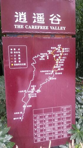 逍遥谷