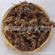 小丽百草行 蜘蛛香 马蹄香 土细辛 雷公七2-6公分段 量大从优