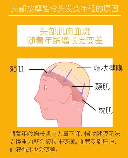 我们特别推荐大家试一下樋口先生的【头皮按揉术】,可以放松额肌,颞