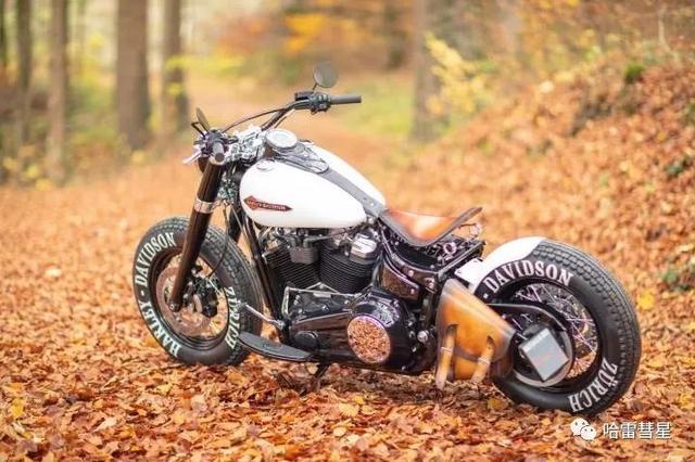哈雷软尾司令bobber硬派改装