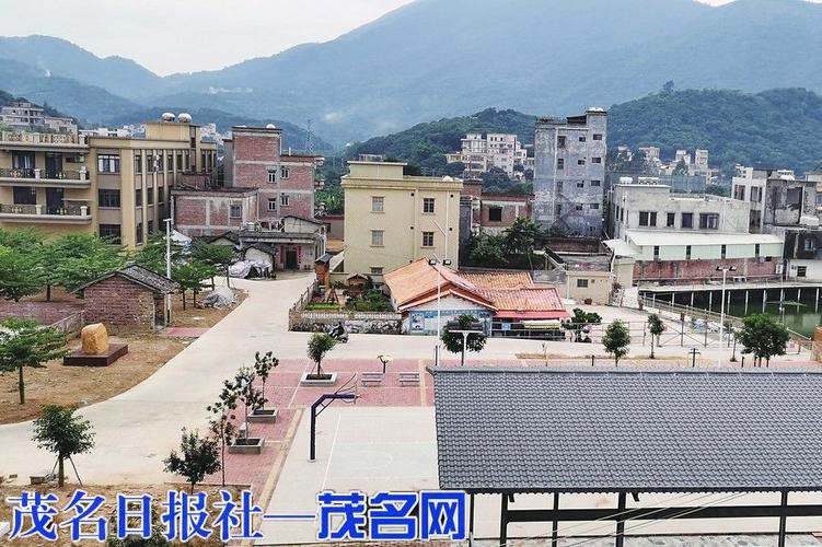 新垌镇擦亮"茶果之乡"名片