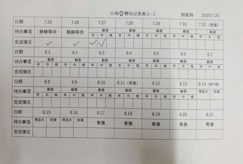 为了能更好的观察和记录小鸡孵化的过程,特地制作了一张记录表.