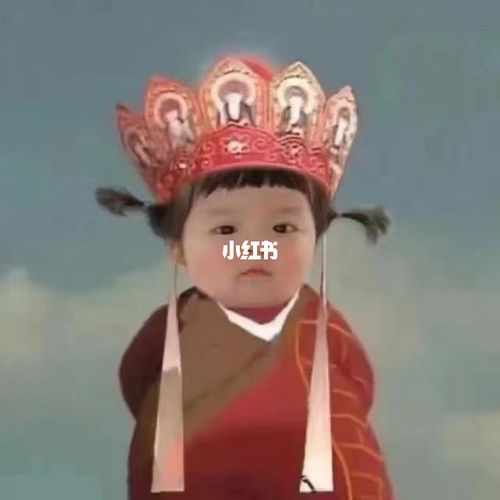 丸丸的表情包!_表情包_素材_表情包