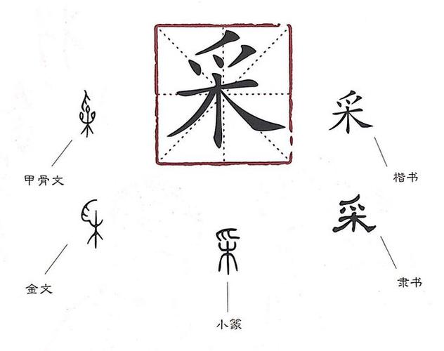 在甲骨文里,"采"写作" ",很形象地